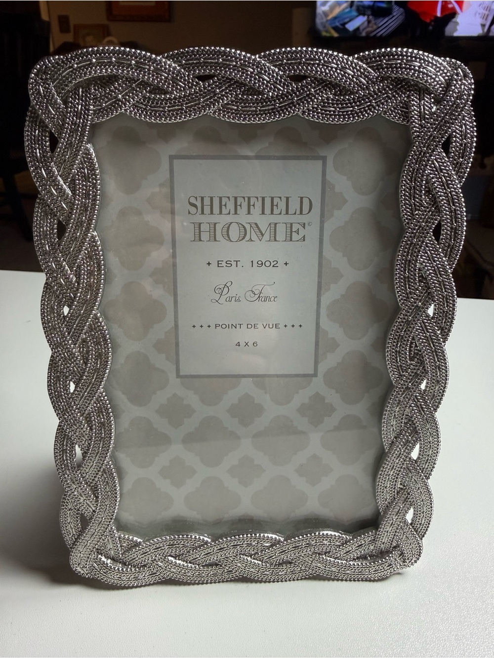 Sheffield Home Silver Braided Frame